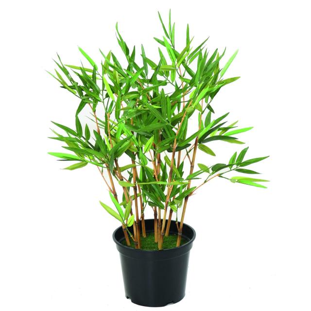 Bambou artificiel TC