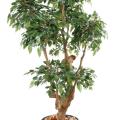 Ficus artificiel NATASJA 5 TETES