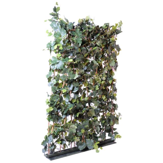 Vigne Artificielle Haie Intérieur