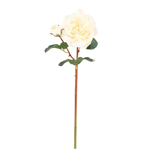 ROSE Artificielle 53