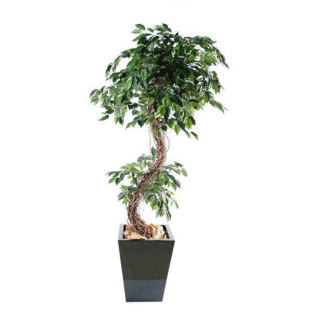 Ficus Artificiel Tronc en S