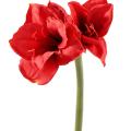 Amaryllis artificielle tige