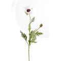 Pavot artificiel