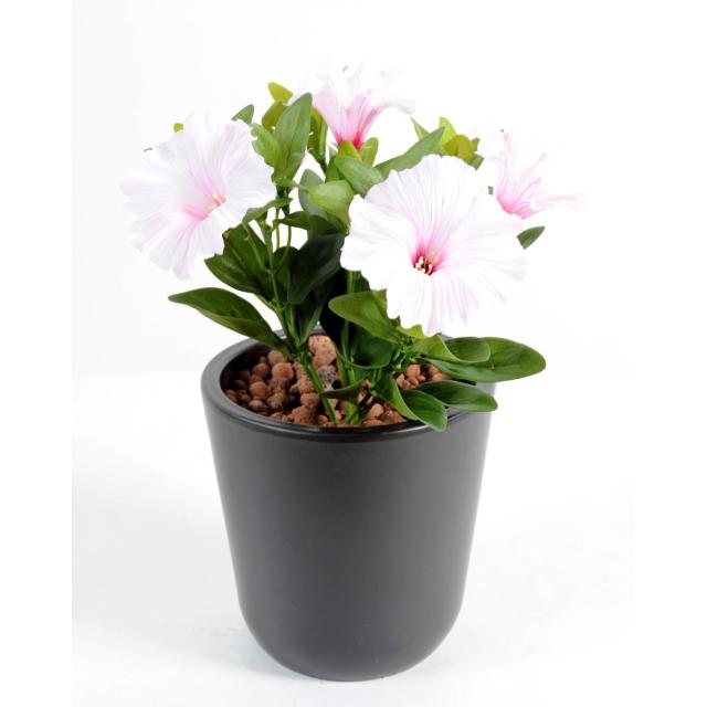 Petunia artificiel *7