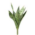 SANSEVIERIA Artificiel PIQUET *9