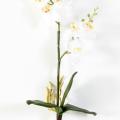 PHALAENOPSIS artificielle DOUBLE