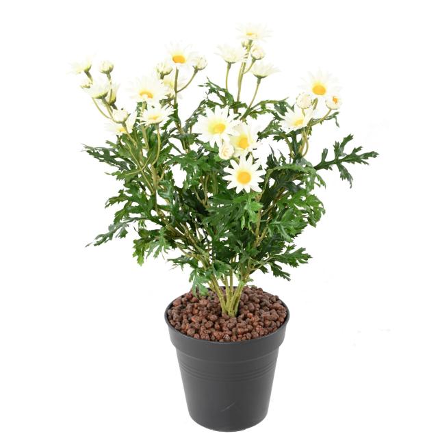 Marguerite artificielle ANTHEMIS *120*31