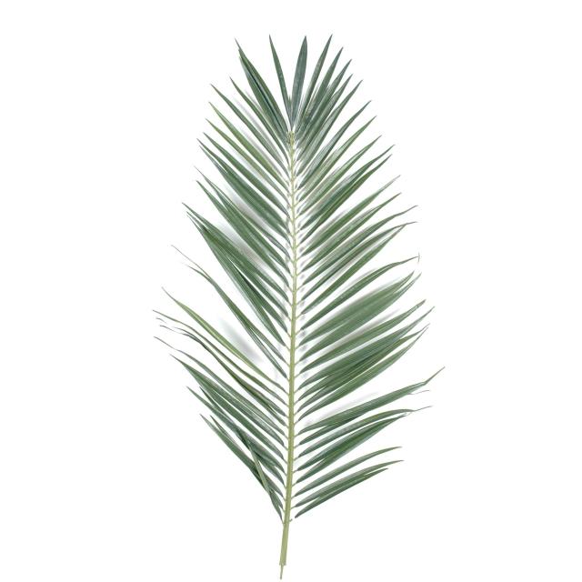 Palme Artificiel Palmier Majesty