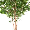 HETRE Artificiel GRANDIFOLIA TREE 350