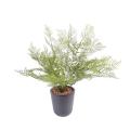 Asparagus artificiel plastique