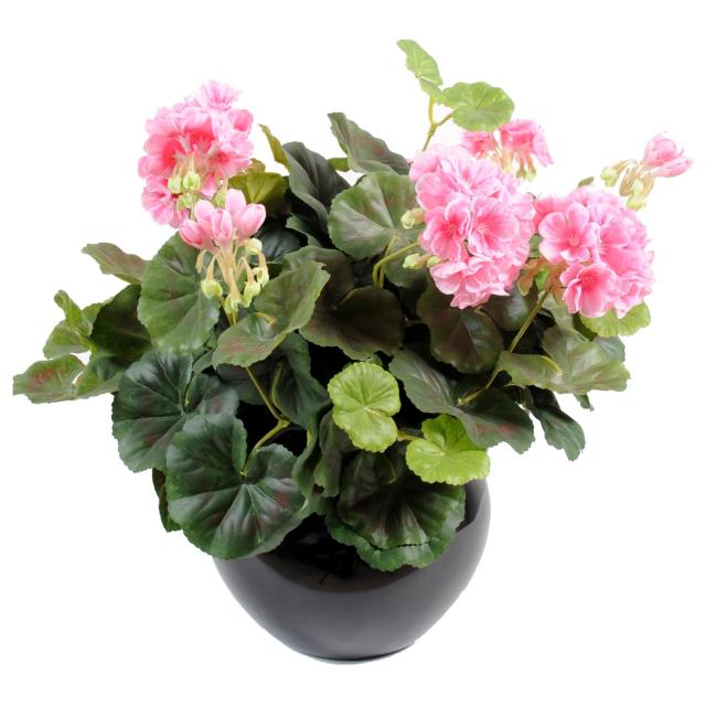 Geranium artificiel*115