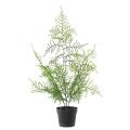 ASPARAGUS Artificiel 50 POT