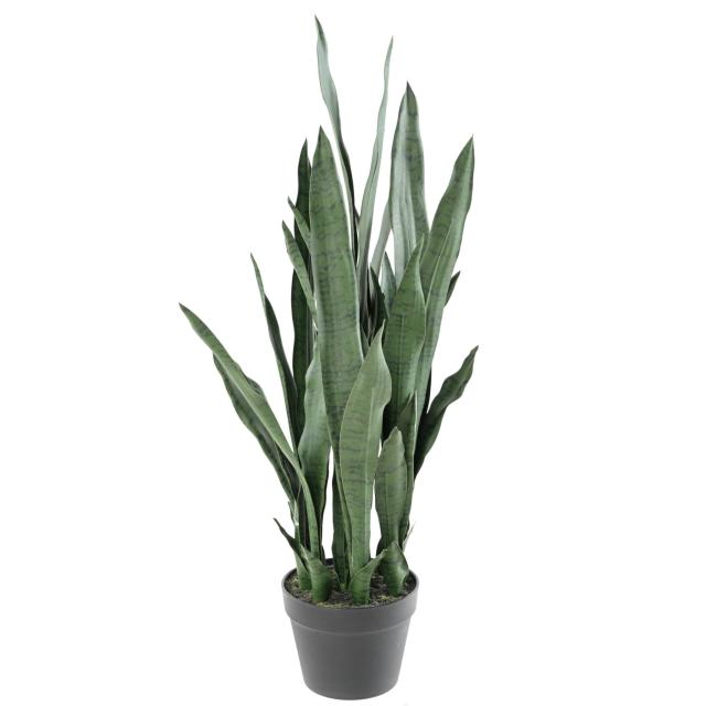 SANSEVIERIA Artificiel 85