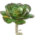SUCCULENTE Artificiel RONDE 15