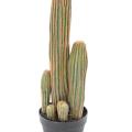 CACTUS Artificiel FINGER X