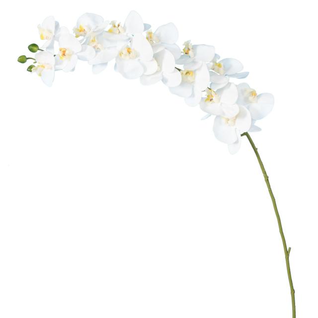 PHALAENOPSIS Artificielle TIGE