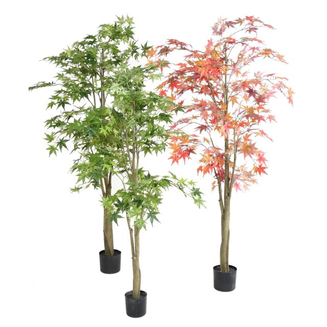 Aralia Artificiel Vert / Automne