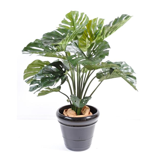 Philodendron artificiel GEANT *18