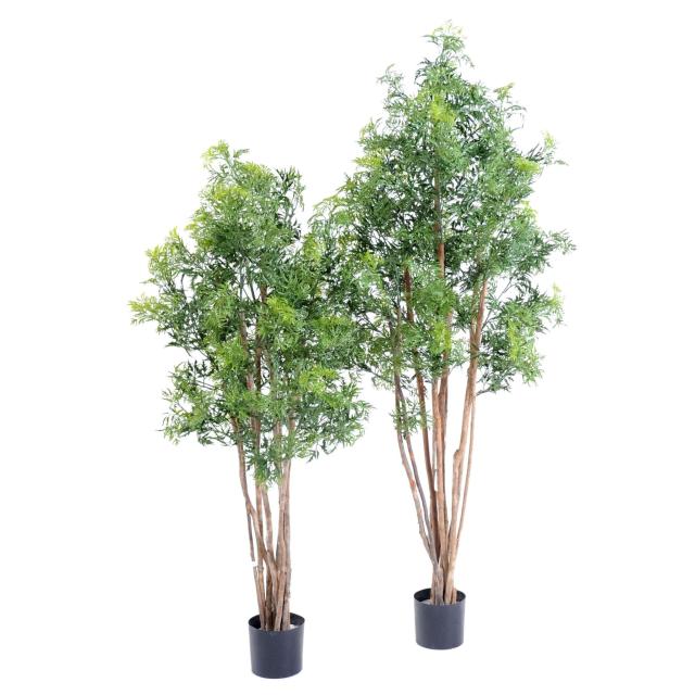 Aralia Ming Nitida Artificiel
