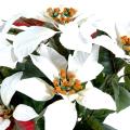 Poinsettia artificiel*9