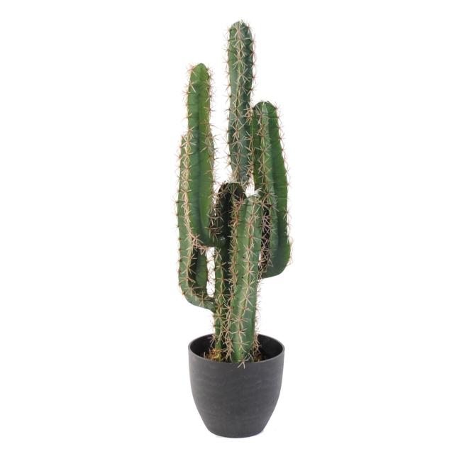 Cactus artificiel FINGER