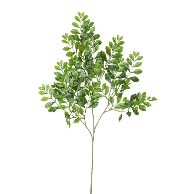 acacia spray artificiel