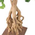 GINKGOBILOBA Artificiel ROOT