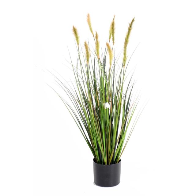 Foxtail artificiel GF