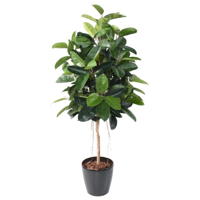 Ficus artificiel ELASTICA (Rubber plant tree)