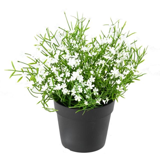 MARGUERITE Artificielle MINI 20 pot