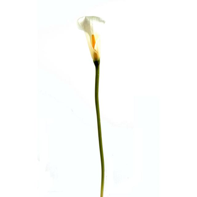 Calla artificielle LILY