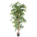 Aralia artificiel new (erable)