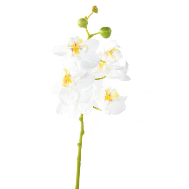 Phalaenopsis Artificielle, 1 Brin de 6 Fleurs