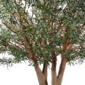 Olivier artificiel TREE