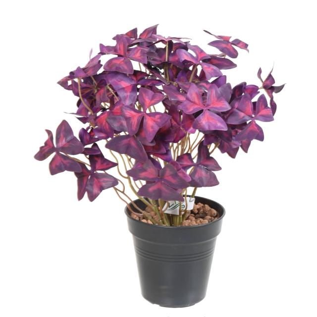 Oxalis Artificiel - Tréfle Pourpre
