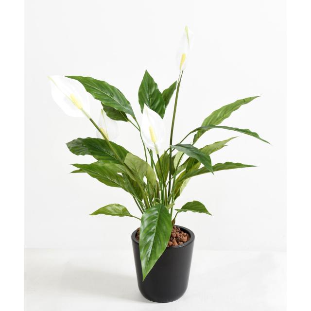 SPATHIPHYLLUM Artificiel 4FLeurs