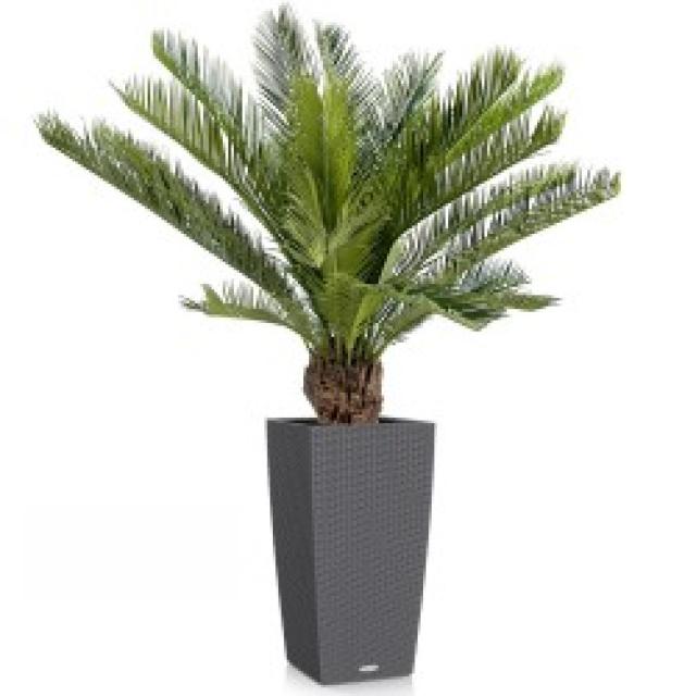 Cycas Artificiel Tronc Fibre de Verre
