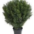 CYPRES Artificiel BUISSON ROND