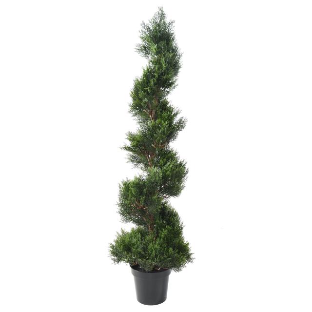 CYPRES artificiel MINI NEW SPIRALE LARGE