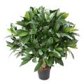 LAURIER NOBILIS Artificiel NEW BOULE UV