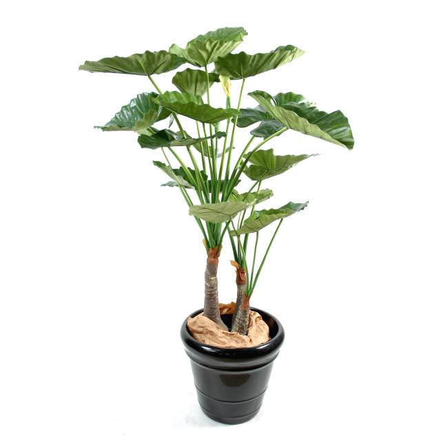 Alocasia Calidora Artificiel 3 Troncs