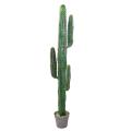 CACTUS artificiel MEXICO 150