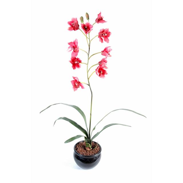 Cymbidium artificiel