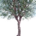 Olivier Tete Geant 270 FR - Fire Resistant