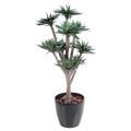 Agave artificielle *9