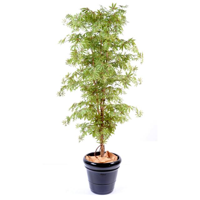 Aralia artificiel new (erable)
