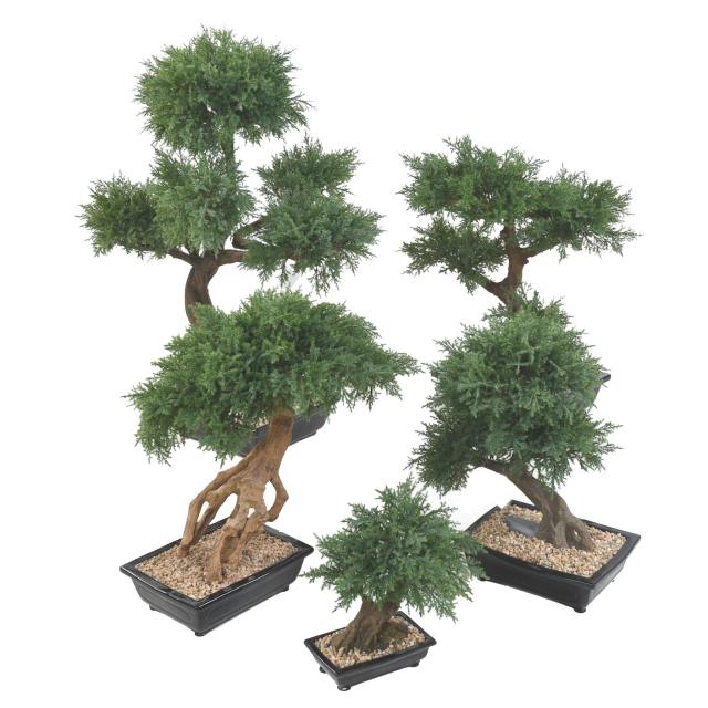 Bonsai Artificiel Juniperus en Coupe