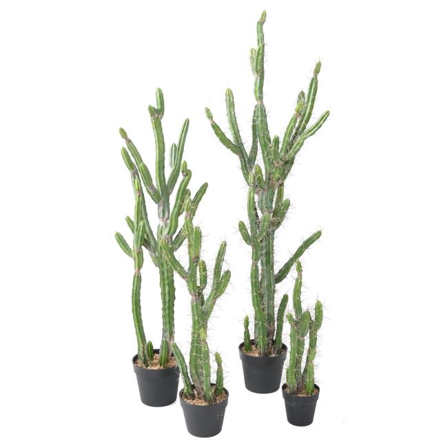 Cactus Finger Fin Artificiel