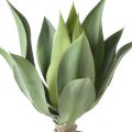 AGAVE Artificielle L