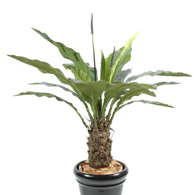 Anthurium Artificiel Jungle King